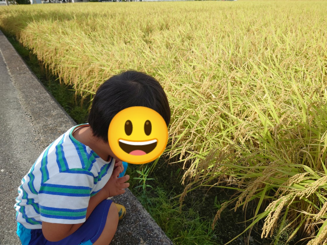 季節は秋。。だけど暑すぎる。。